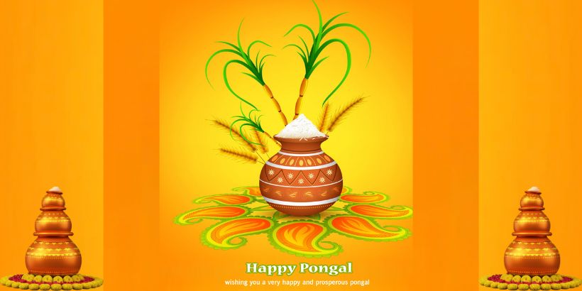 Pongal Festival: