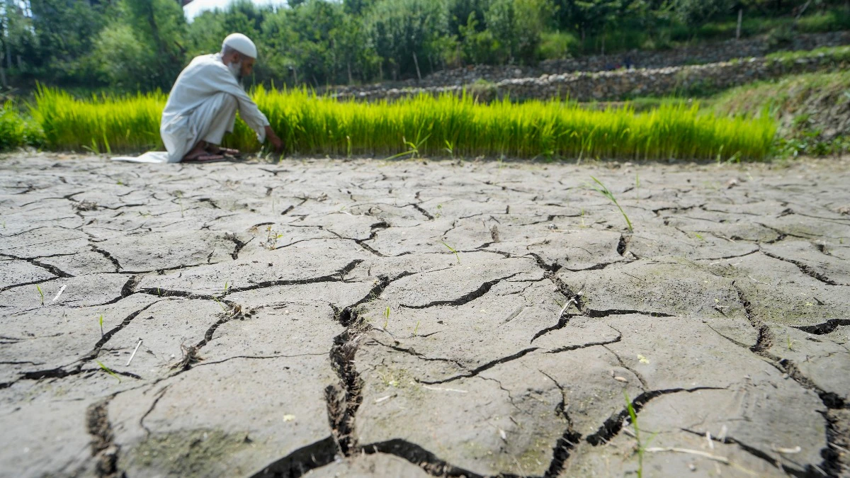 Farmers inspect agricultural fields as India experiences weaker-than-normal monsoon conditions in several regions.